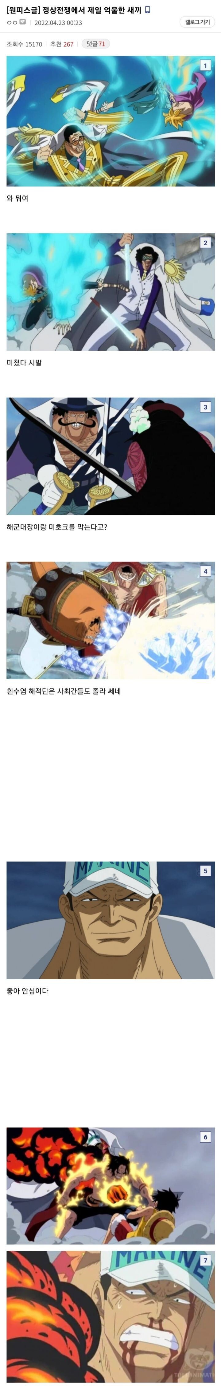  원피스 정상전쟁에서 제일 억울한 새끼.jpg