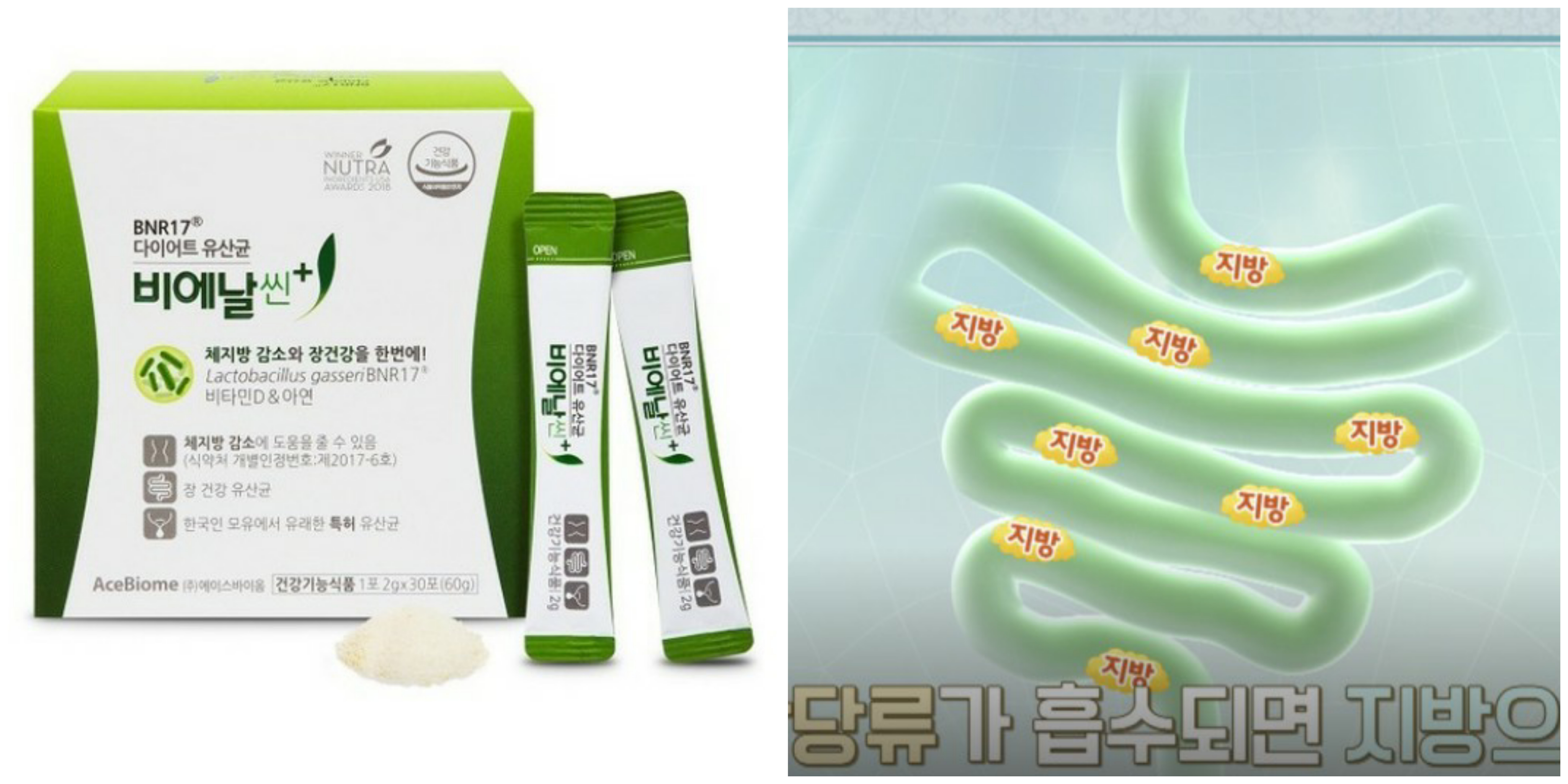 BNR17 유산균(비엔알)의 효능과 부작용에 관하여