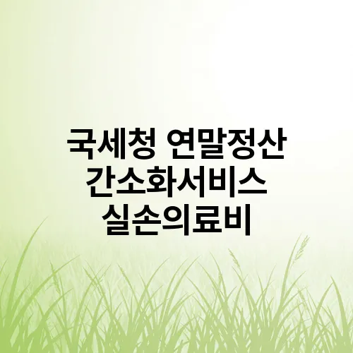 국세청 연말정산 간소화서비스 실손의료비