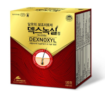 덱스녹실정