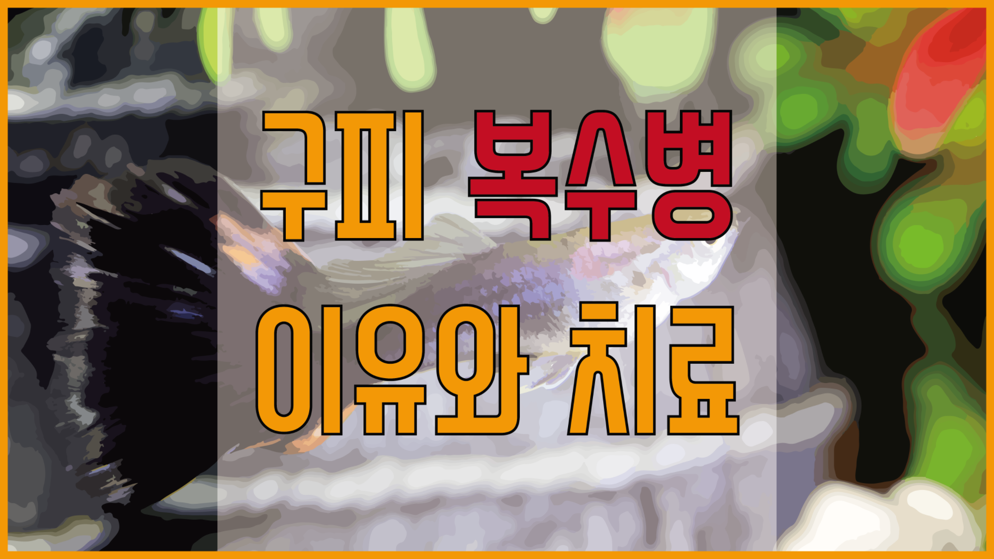 구피 복수병