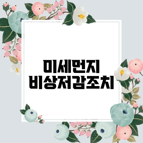 미세먼지 비상저감조치