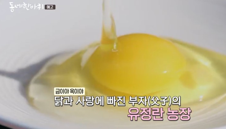 유정란