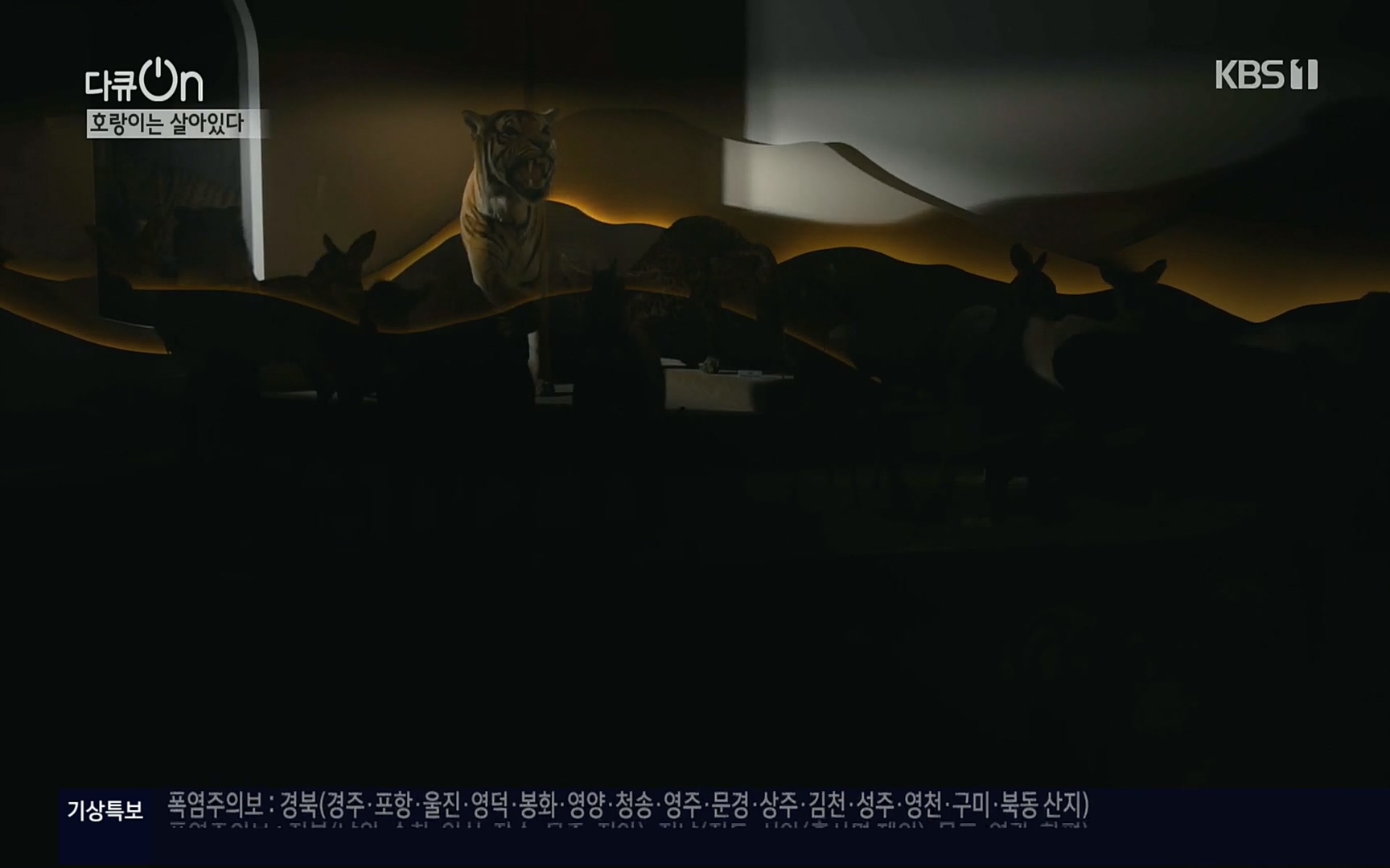 다큐 On.E150.220729p.H264-F1RST.mp4_20220730_164050.672.jpg
