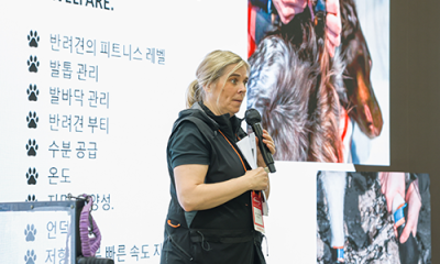 케이펫페어 수원