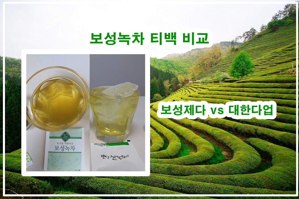 주식회사 보성녹차인 이미지