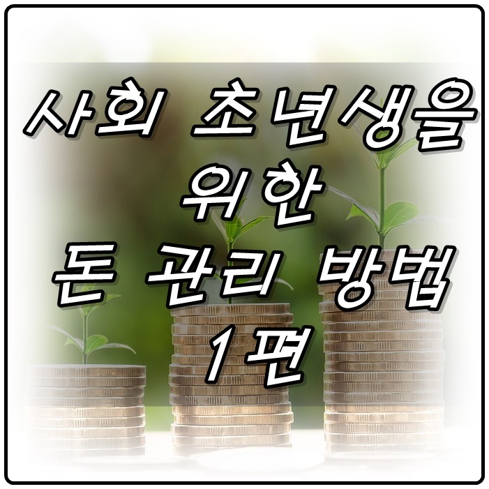  사회 초년생을 위한 돈 관리 방법 - 1편