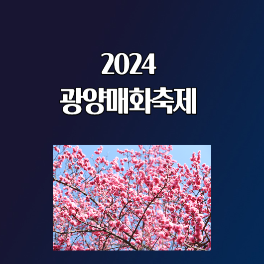2024 광양 매화축제 일정 기간 장소 입장료 무료셔틀버스
