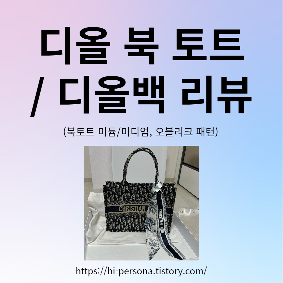  디올 북 토트 / 디올백 리뷰
