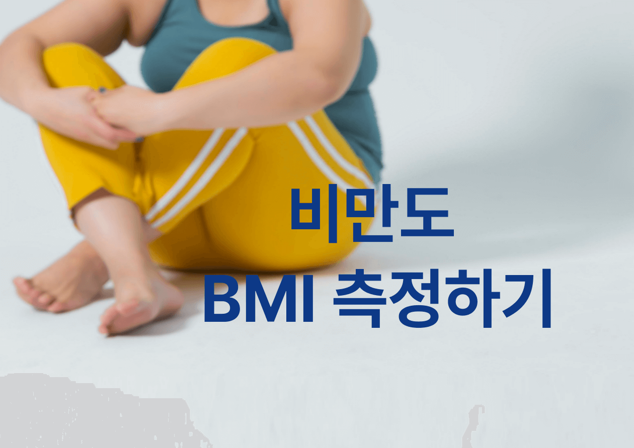 비만도측정하기