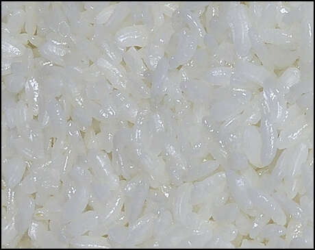 근접촬영 이미지