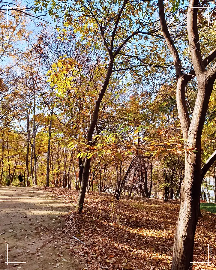 생방송오늘저녁 대한민국 보물정원 추천 수지 동천동 서울 근교 나들이 가볼만한 곳