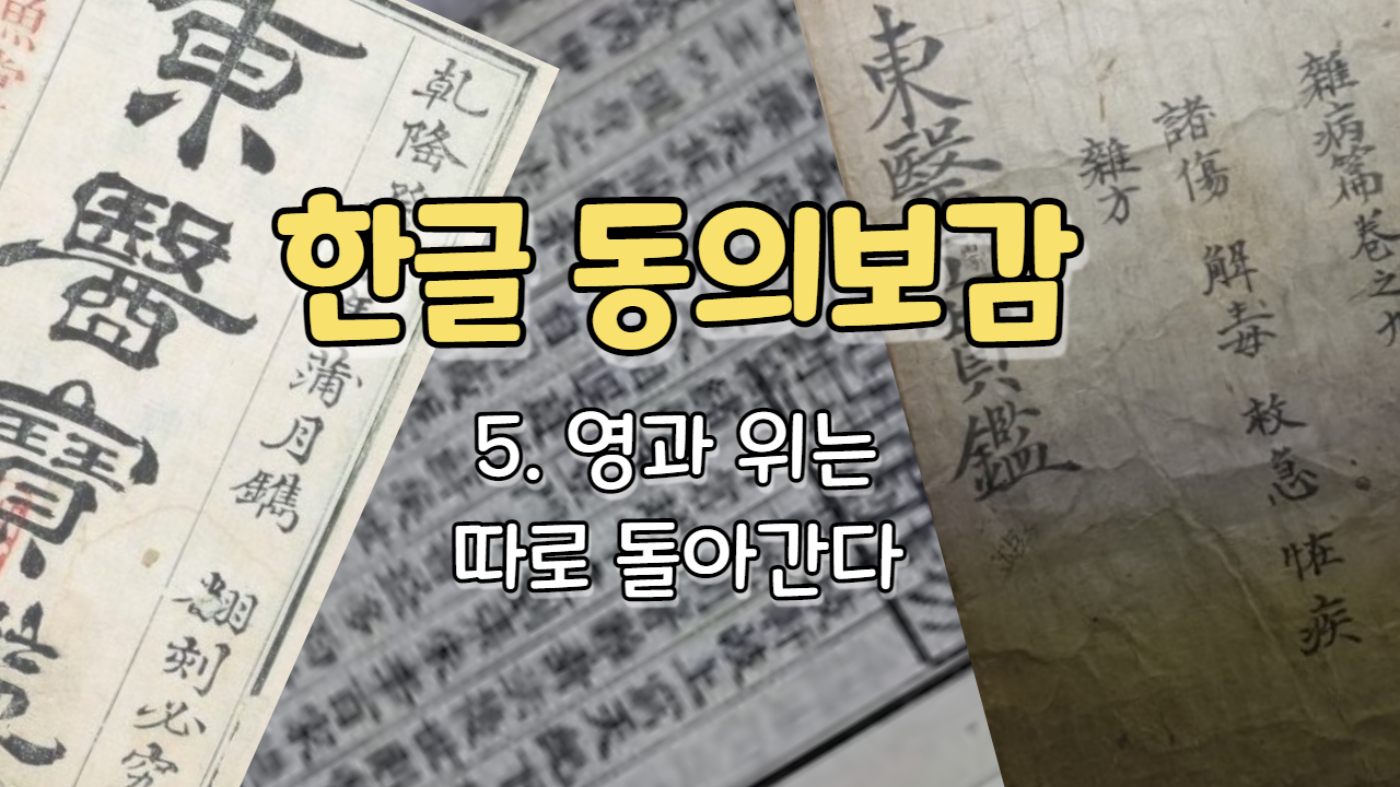  5. 영(榮)과 위(衛)는 따로 돌아간다[榮衛異行] ( 내경편 기 )