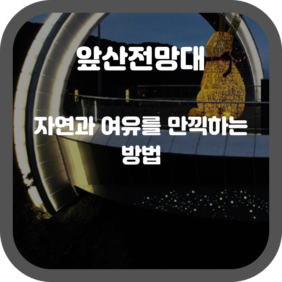 대구의 대표적인 도심 공원