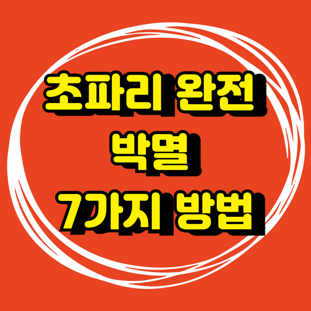 초파리 없애는 방법