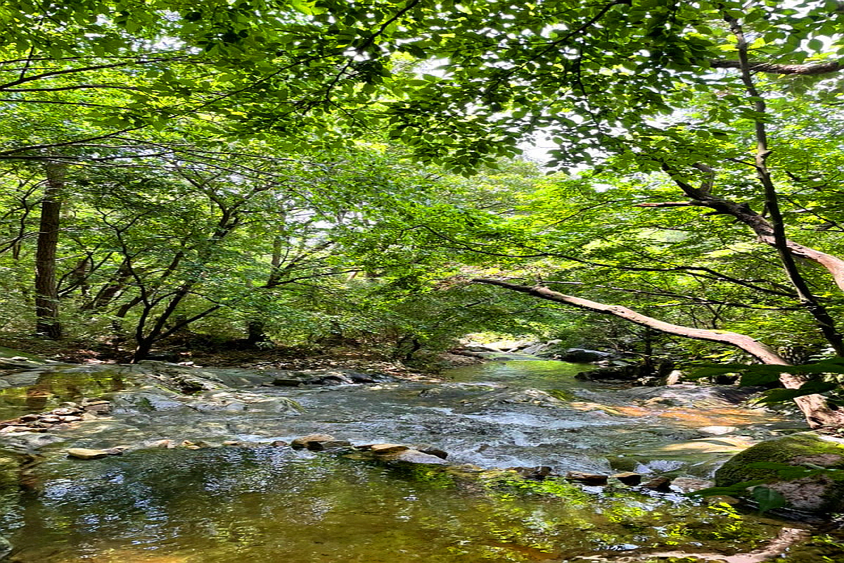 서산 황락계곡