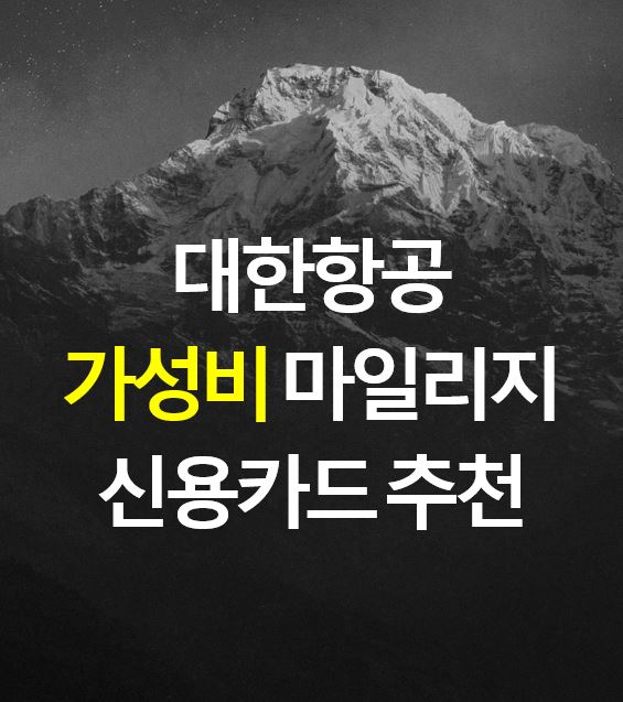  가성비 대한항공 마일리지 신용카드 추천 / 1000원 당 1마일 적립 / 대한항공카드 030 / BC바로 에어 플러스 / SKYPASS 롯데 아멕스카드