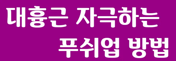 대흉근 자극하는 푸쉬업 방법