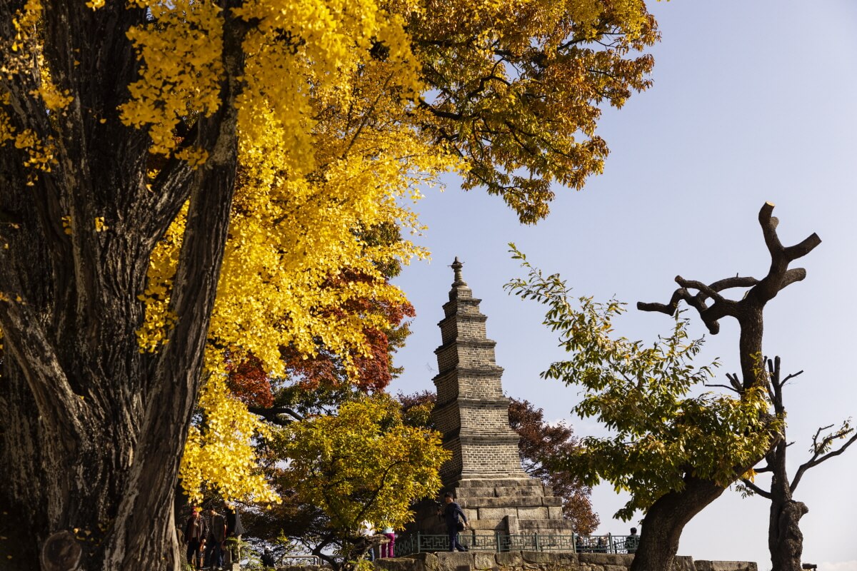 [경기둘레길 여주 34코스 경기물길] 한강의 풍경과 역사를 함께 걷는 힐링 코스