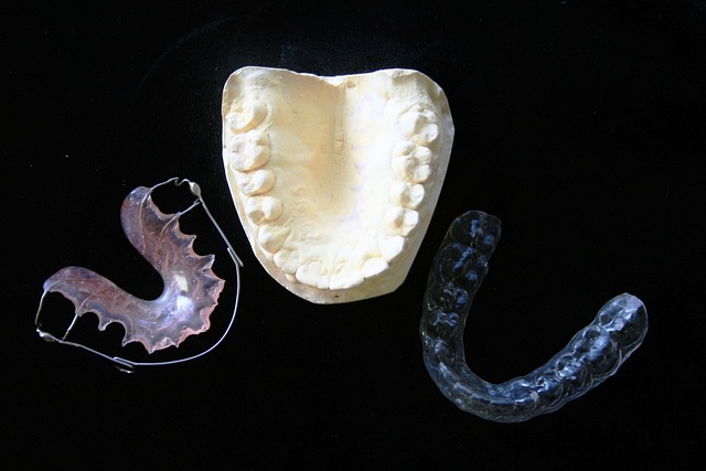 치아 석고본과 교정 치료기
