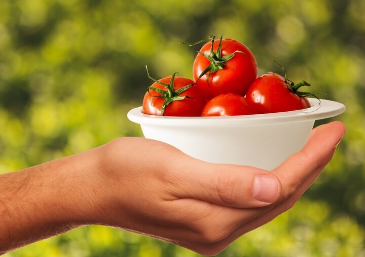 토마토 효능과 영양성분