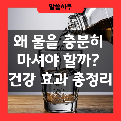 수분섭취와 건강효과