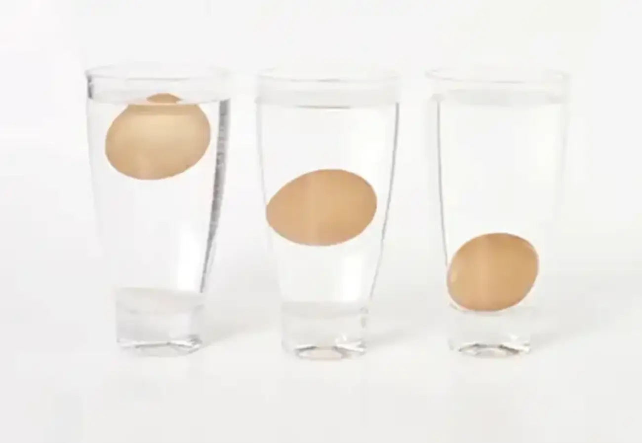 물을 이용한 계란 신선도 테스트