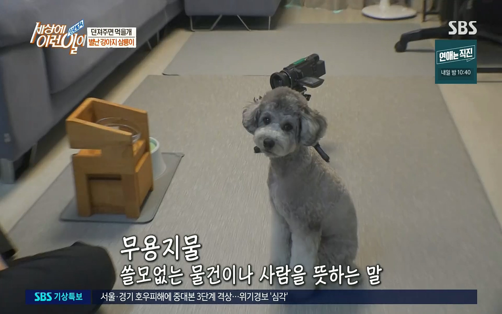 순간포착 세상에 이런일이.E1192.220809p.H264-F1RST.mp4_20220810_203613.734.jpg