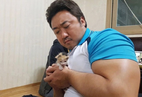  '예정화' 마동석, 손가락만한 새끼 냥이 안고 안절부절