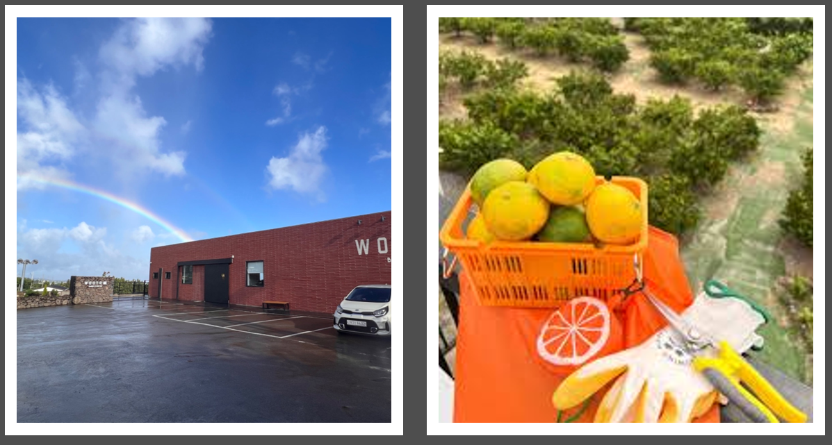 웃뜨리 베이커리 (제공 : 인스타그램)