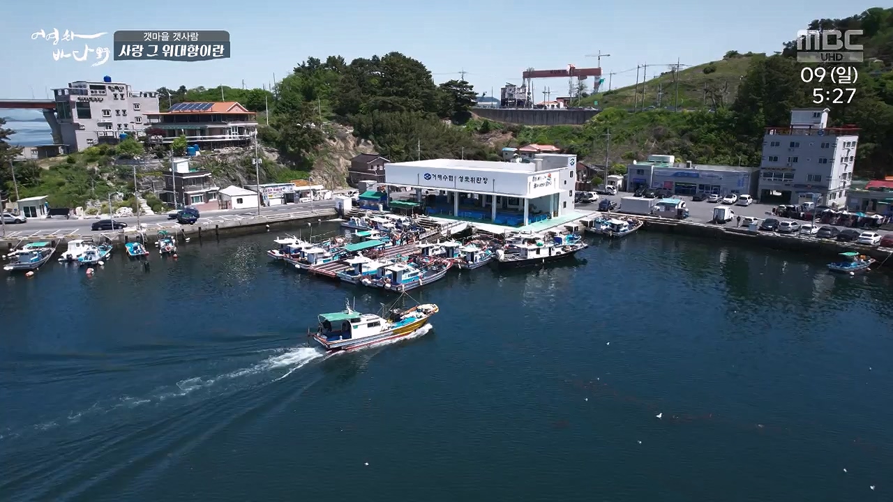 MBC 네트워크 특선 푸른백세 어영차 바다야.E1684.240610p-NEXT.mp4_20240611_203118.585.jpg