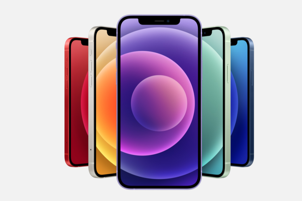 가격, 컬러가 고민이라면? 실전 꿀팁! 아이폰 12 미니 vs Pro 8