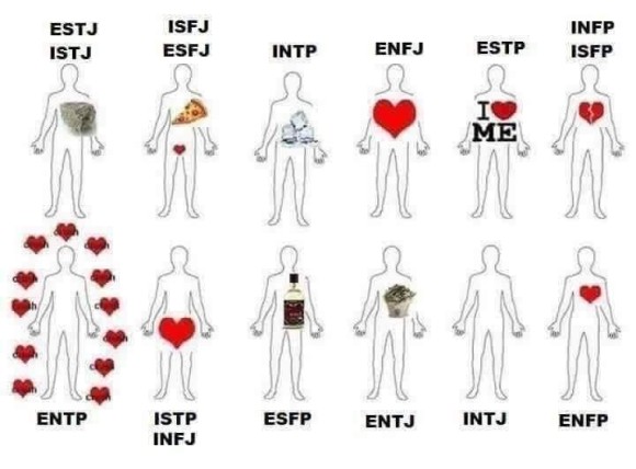  재미로 보는 MBTI - 유형별로 몸과 마음속엔 무엇으로 채워져 있을까요?