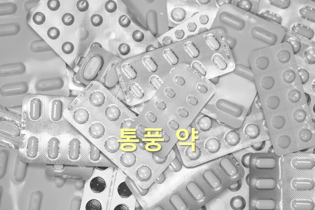  통풍 약과 통풍 영양제