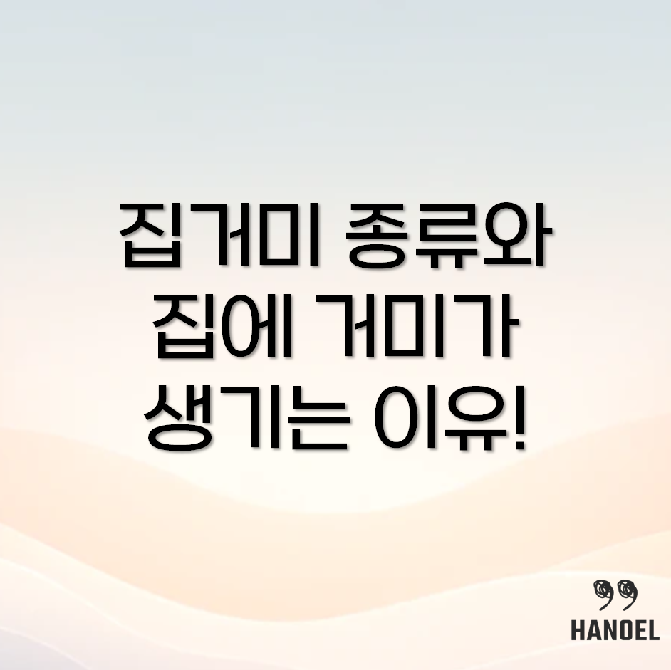 집거미의 종류