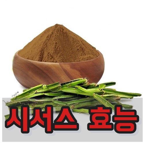 시서스 효능