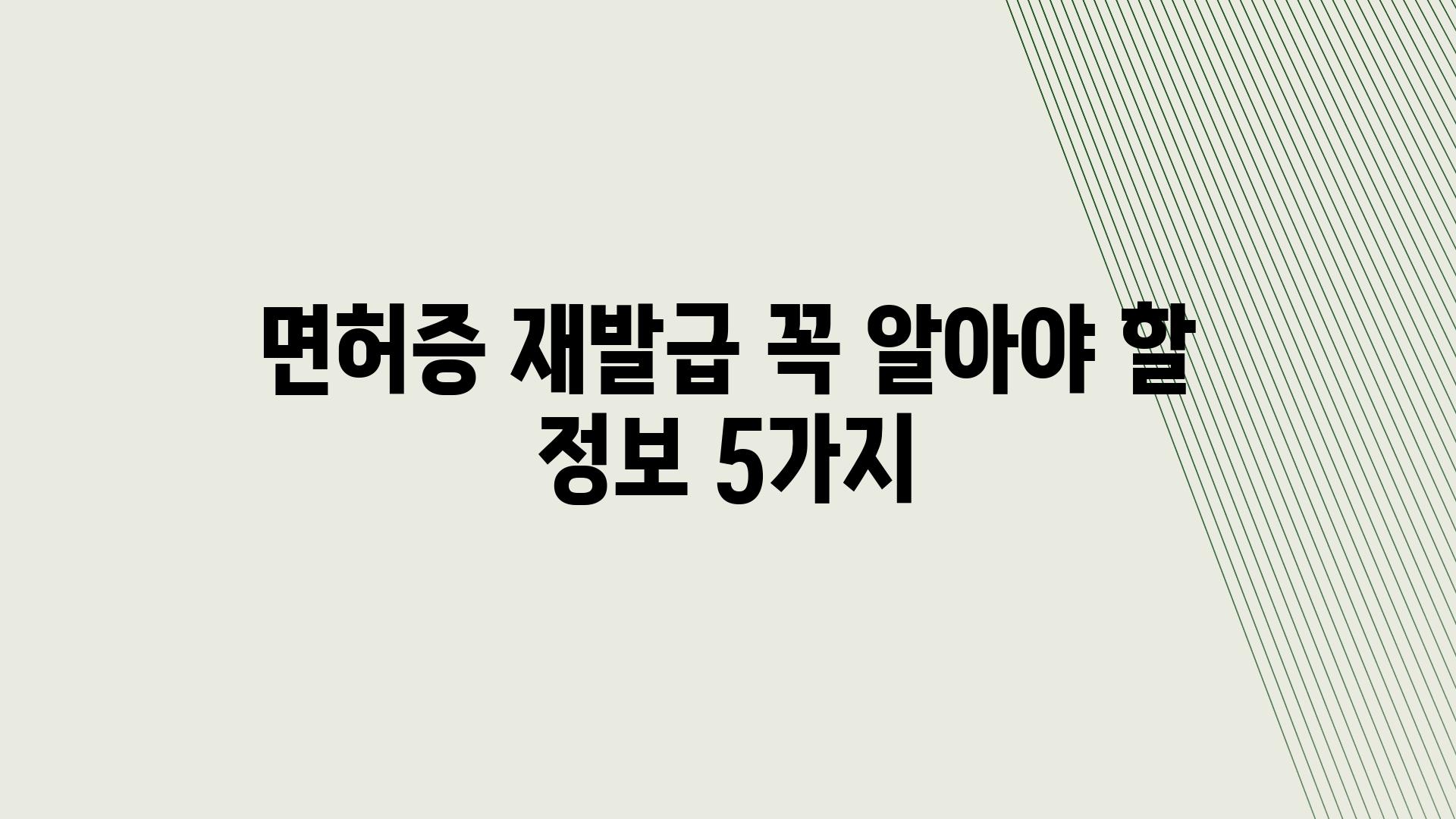 면허증 재발급 꼭 알아야 할 정보 5가지