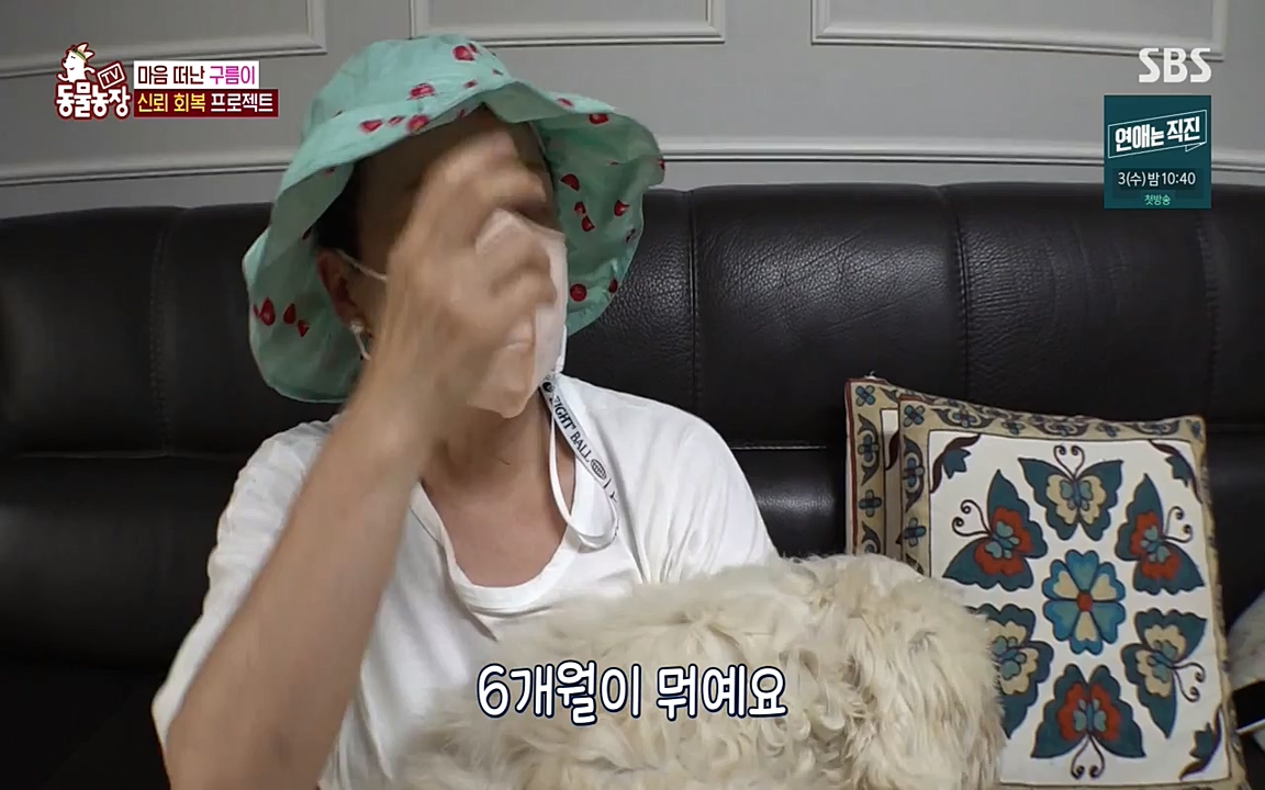 TV 동물농장.E1080.220732p-NEXT.mp4_20220731_174249.867.jpg