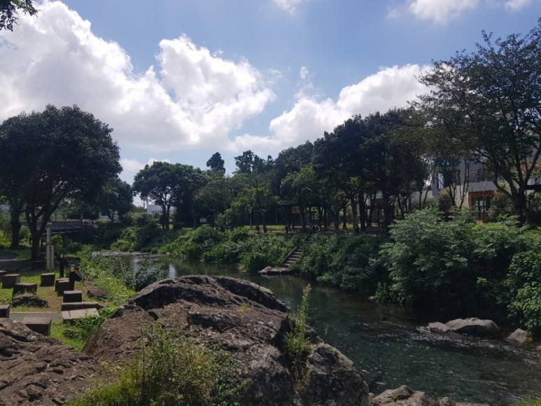 제주버스노선 2020.09 제주 800번 800-1번 7