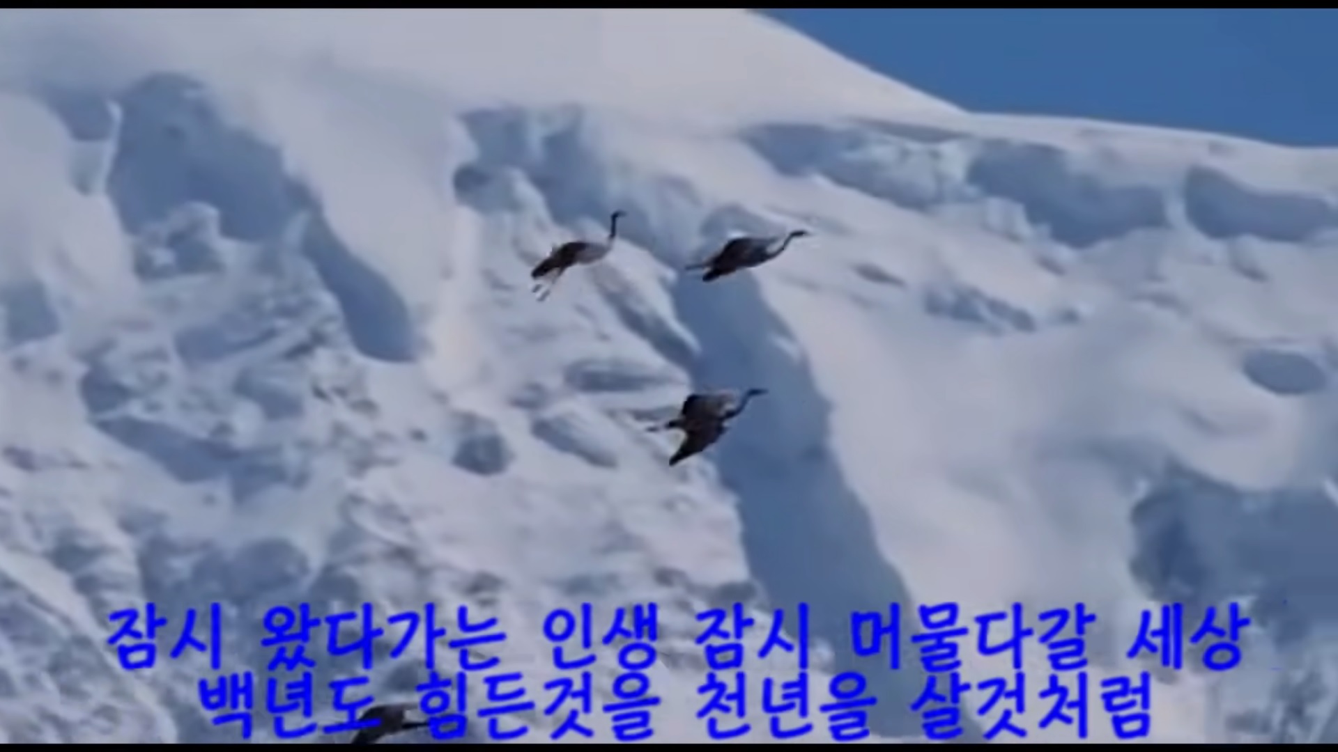  공(空)_나훈아