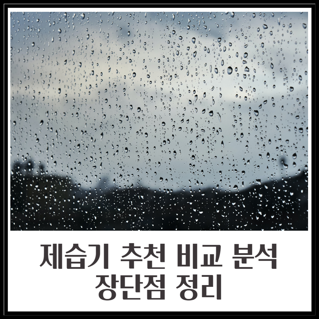 제습기 추천 비교 분석 장단점 정리