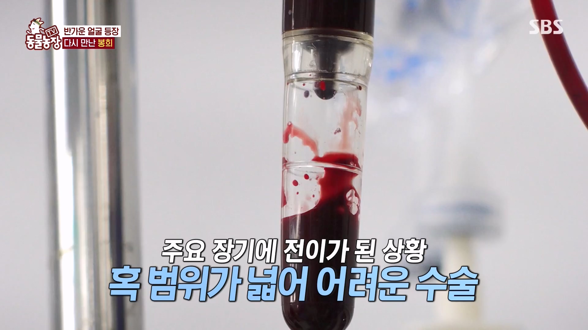 TV 동물농장.E1151.231224p-NEXT.mp4_20231224_154146.290.jpg