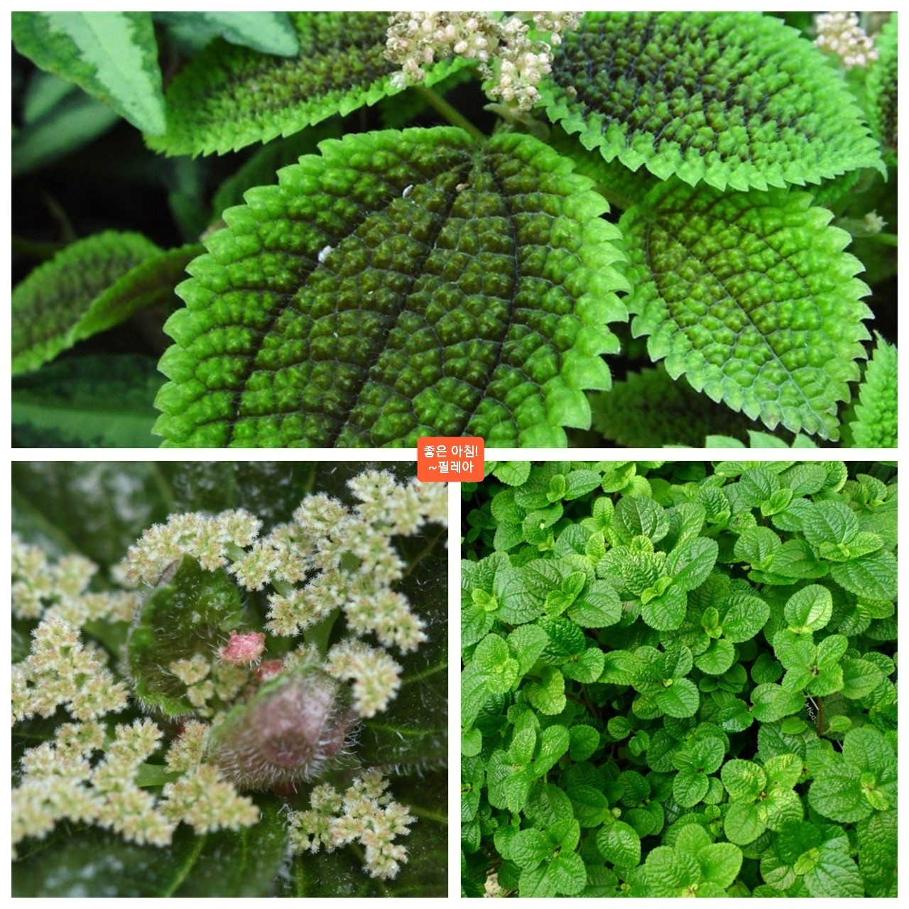 [230213 글/시]세상에서 가장 3