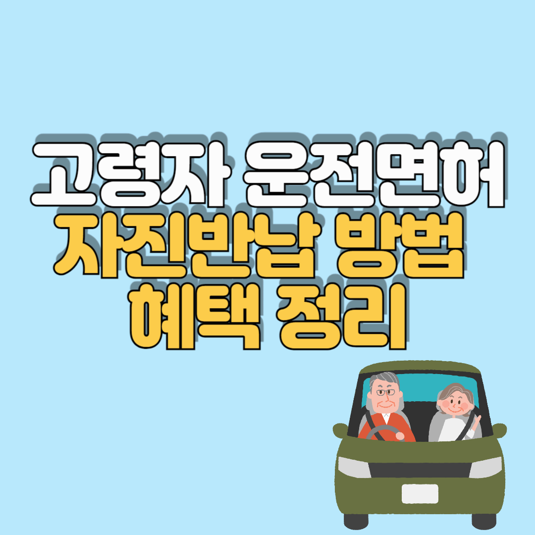 고령자 운전면허 반납