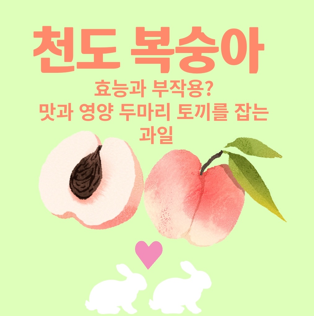  천도 복숭아 효능?
