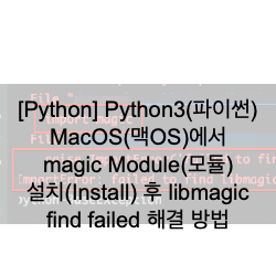  [Python] Python3(파이썬) MacOS(맥OS)에서 magic Module(모듈) 설치(Install) 후 libmagic find failed 해결 방법