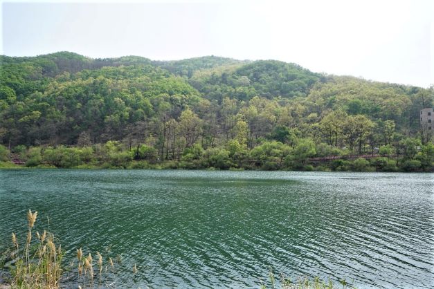앞산에 울창한 숲, 일렁이는 잔물결, 썯아지는 흐린 햇빛, 역광,