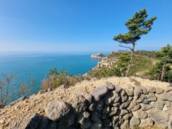 추자도 배시간표 배편 요금 예매 방법_18