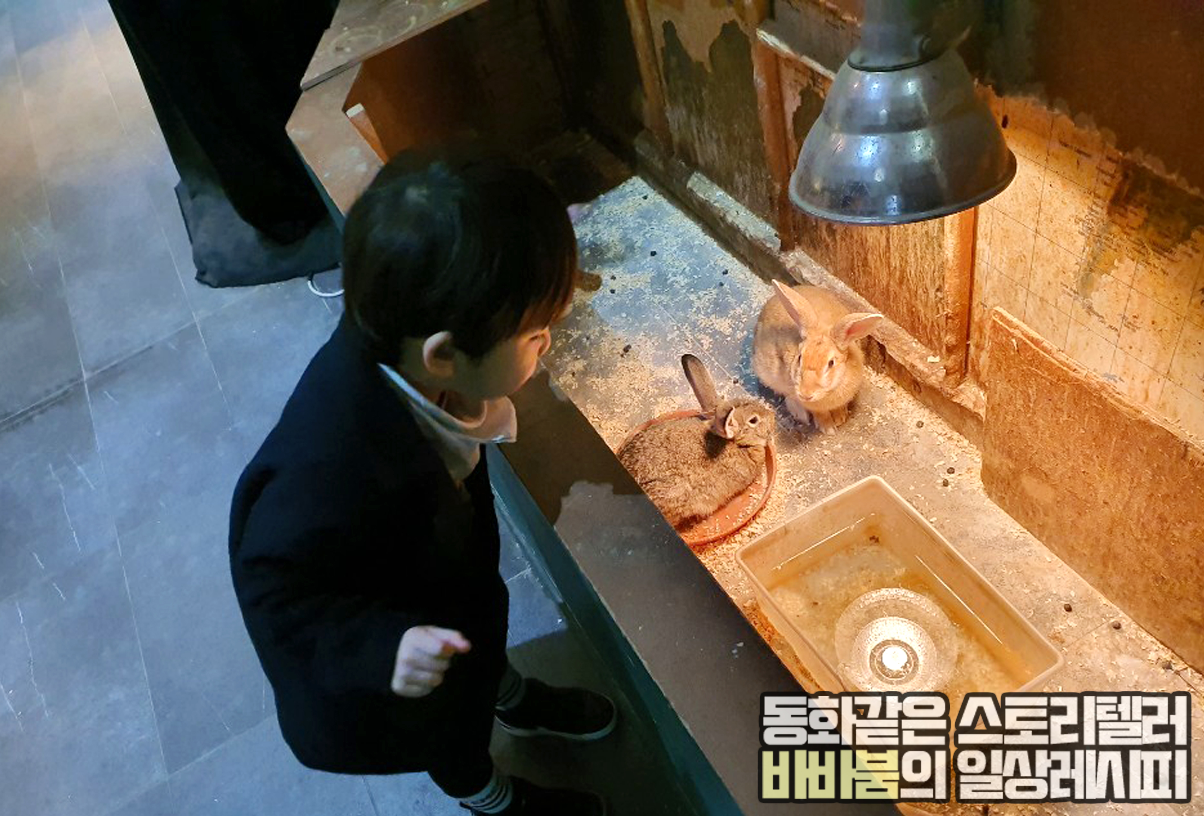  동물부터 마술까지! 아이와 갈만한 곳, '사파리체험테마파크' 헤이리마을