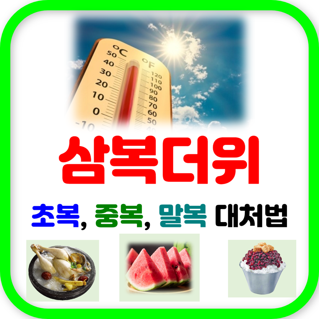 여름철 삼복더위, 그 정체와 대처법